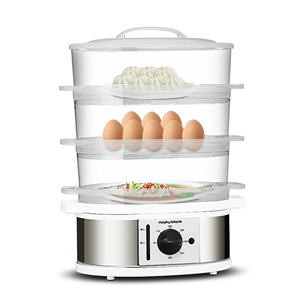 Morphy Richards/Mo Fei Electrical Electric Steam MR1148