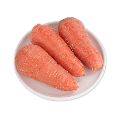 【Безопасная отслеживание】 Yeve органическая морковь 300G