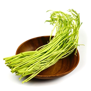 Grand Artemisia (Artemisia Annua) 250g