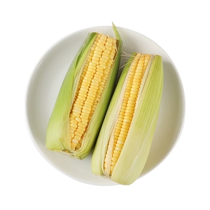 [甜玉米 两支/600g]