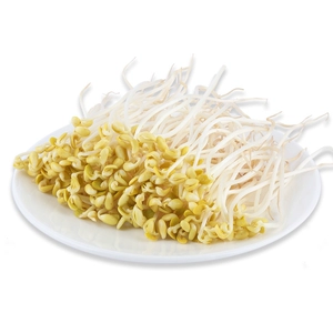 Маленькая золотая соя ростки 300G