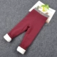 Quần legging bé gái cộng với quần nhung dày cạp cao cho bé quần mùa đông Quần bé trai co giãn - Quần