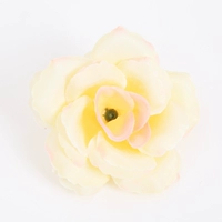 Белый порошок