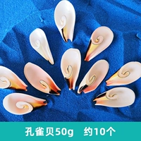 Peacock Shell 50G около 10