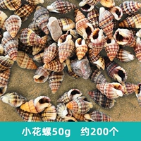 Маленькая улитка 50 г около 200