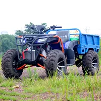 250cc toàn thời gian bốn bánh lái ATV lớn bull với xô bốn bánh off-road xe máy trục ổ đĩa tất cả các địa hình xe đạp leo núi xe điện trẻ em 2 bánh