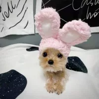 Розовый кролик