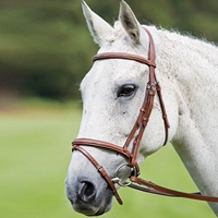 British Shires Standard Avignon (Avignon) Creative British Waterpronation Rocky Malaysia 8218086