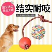 Con chó đồ chơi bóng mèo dây bóng cao su đồ chơi bóng răng hàm chó đào tạo cắn bóng vật nuôi cung cấp vật nuôi đồ chơi