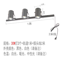 Штекер с рельсами, 30W, 3 шт, 1м