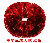 Учащиеся средней школы красные