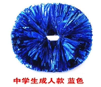 Учащиеся средней школы синий