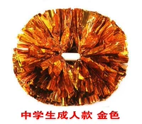 Учащиеся средней школы золото