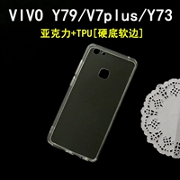 Роза красная