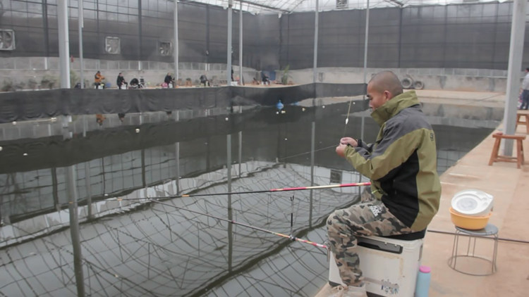 揭秘冬天大棚钓鱼没鱼获的原因