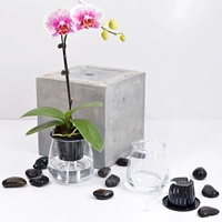 Продвижение автоматического поглощения воды Прозрачная имитационная стеклянная ваза капает чернила каменная шерстяная доска?