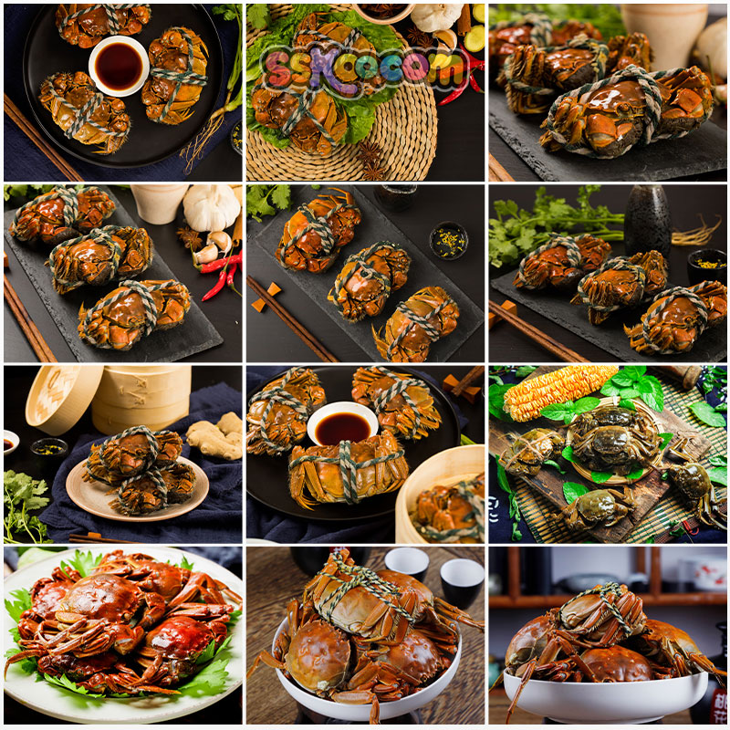 大闸蟹海鲜图片螃蟹特写美食菜单画册海报设计高清图片摄影素材