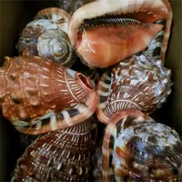 Цвет глубокий и мелкий