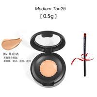 Тональный крем, кисть для консилера, 0.5г