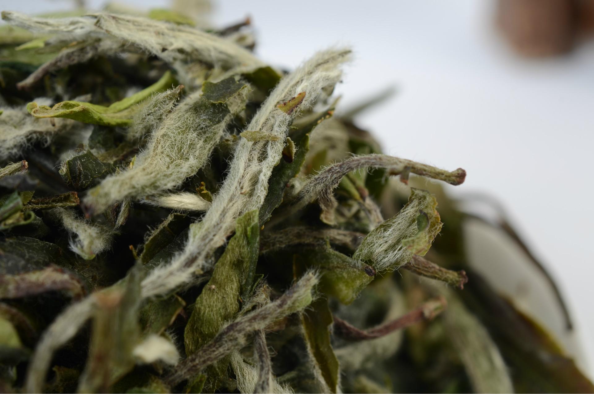 茶叶毫毛多就一定是好的茶叶吗