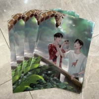 6 пакет информационных книг