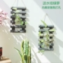 Củ cải xanh văn hóa bình thủy tinh bình thủy canh cây thủy canh văn hóa sáng tạo tường hoa chậu treo tường củ cải xanh miễn phí đấm - Vase / Bồn hoa & Kệ giỏ treo ban công