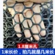 Lưới phẳng bằng nhựa màu đen lưới an toàn cho trẻ em lưới bảo vệ cầu thang ban công lưới chống mèo lưới chống rơi lưới an toàn gia đình lưới bịt kín cửa sổ luoi bao che