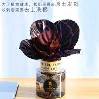 Красная и красивая церковь