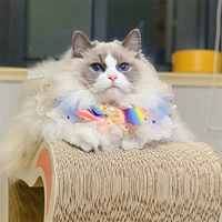 Фрэнк Пентагон