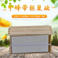 Китайская пчела продуктов Bell Basic Высококачественные интегрированные соты на селезенную говяжнюю коробку бутик