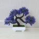 Lotus Color [Dragon Beard Tree Purple]