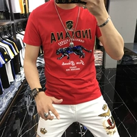 Red Y001 Sequenant Leopard Model