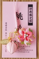 Ограниченная модель