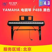 Cho thuê đàn piano thành phố Bắc Kinh nhập khẩu đàn piano điện mới P48B cho thuê người mới bắt đầu ngắn hạn cho thuê đàn piano tại nhà - dương cầm