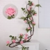Hoa nhân tạo tường nền cây nho dây leo trang trí cây nho giả cây chết thân cây hình cây hoa trong nhà cây hoa - Hoa nhân tạo / Cây / Trái cây Hoa nhân tạo / Cây / Trái cây