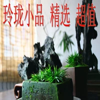 3 кусочки бесплатной доставки Тайху Каменный бутик -бутик Rooding Rooding Da Bay камень камень камень камень нарисованный Cao Hua Shi Garden Art Rocity камень камень