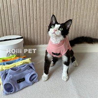 Клубничный порошок