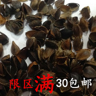 Kiều mạch vỏ số lượng lớn kiều mạch ngọt kiều mạch toàn bộ kiều mạch người lớn trẻ em cổ gối tinh khiết kiều mạch gối