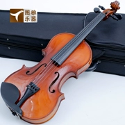 Fanchao Nhạc cụ dây theo phong cách phương Tây Học sinh trẻ em mới bắt đầu thực hành mục 4 4 biểu diễn đa âm thanh violin 3 4
