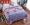 giường pha lê nhung một mảnh đa mục đích bốn mùa bông bao gồm đúp kang bìa bông chăn flannel ấm dày - Trải giường