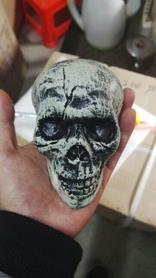 taobao agent Small props, realistic skull model, human head, sample, halloween