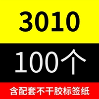 3010 (100 установка)