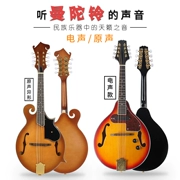 Mandolin nhạc cụ Tây Tạng hộp 8 dây điện âm thanh guitar acoustic quốc gia tám dây jingqin người lớn mới bắt đầu thích hợp