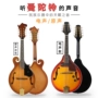 Mandolin nhạc cụ Tây Tạng hộp 8 dây điện âm thanh guitar acoustic quốc gia tám dây jingqin người lớn mới bắt đầu thích hợp sáo trúc mão mèo