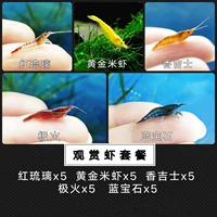 Смотреть пакет креветок 3