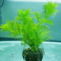 Темный хаки