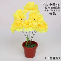 Маленькая хризантема надевает желтый (2 ветви)