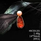 BCS91201