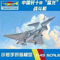 Phụ kiện máy bay mô hình Bộ vật liệu hoàn chỉnh 48 Không quân Trung Quốc Máy bay chiến đấu 10b Raptors 02848 - Mô hình máy bay / Xe & mô hình tàu / Người lính mô hình / Drone máy bay trực thăng điều khiển