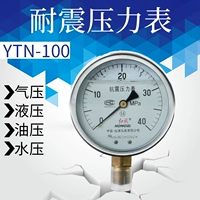 Máy đo áp suất địa chấn Hongqi Máy đo áp suất địa chấn YTN-100YN-100 Máy đo áp suất chứa đầy dầu Máy đo áp suất thủy lực máy dò vàng từ xa